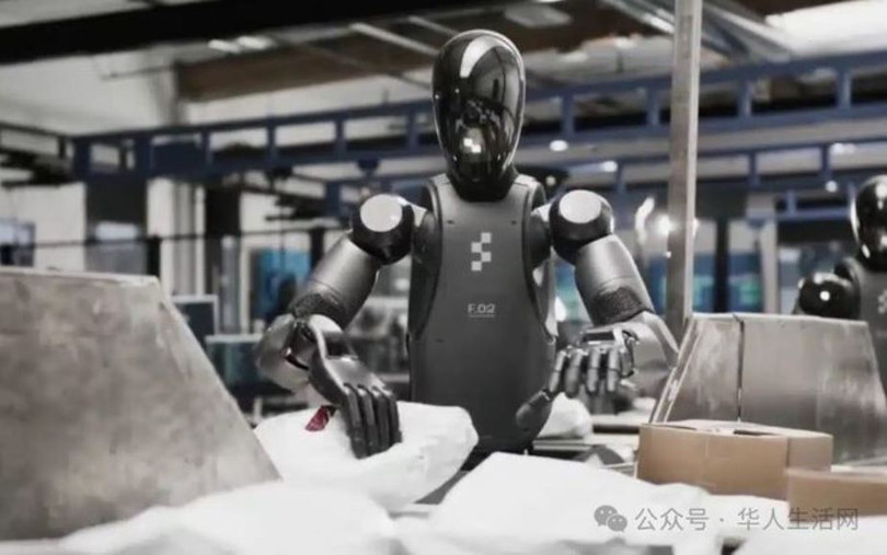 Robot phan loai hang.jpg