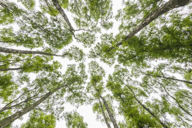 Nằm lòng 12 bí quyết chụp ảnh phong cảnh đẹp ảnh 12