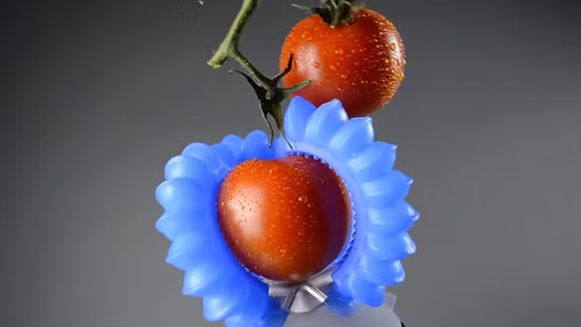 Ảnh minh họa. Nguồn: Futurism