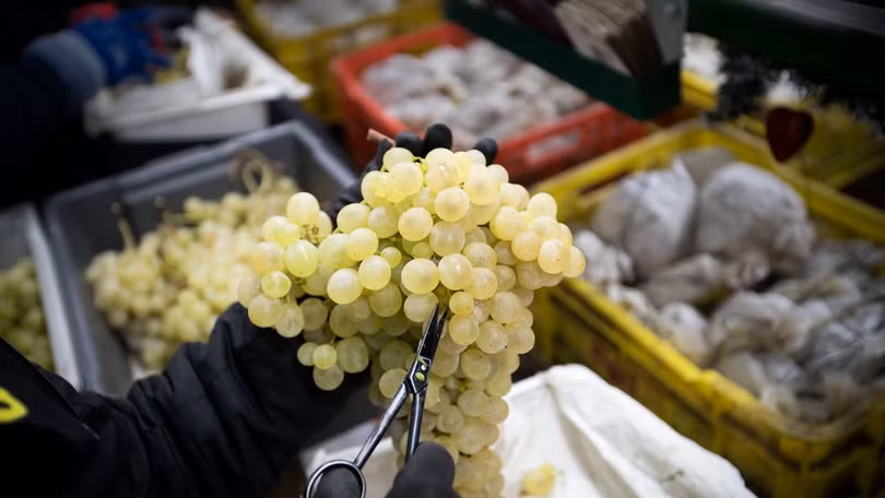 Văn hóa ẩm thực dịp Tết Dương lịch trên toàn thế giới ảnh 2