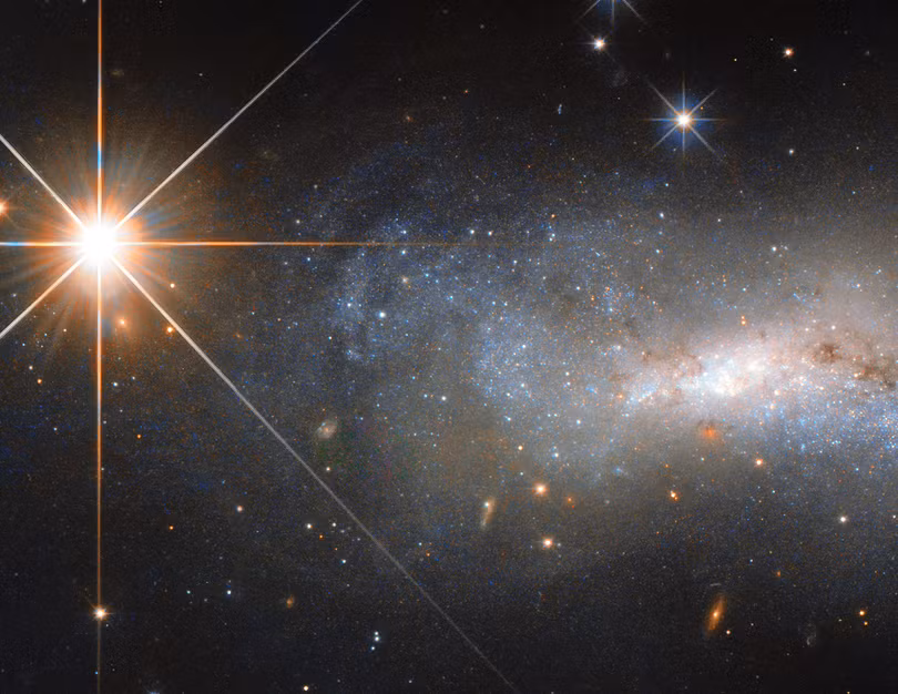 Ảnh minh họa: BRG