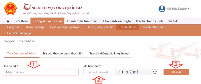 (Ảnh chụp màn hình)