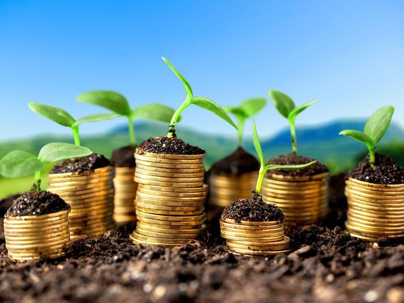 Ảnh: What's New In Publishing