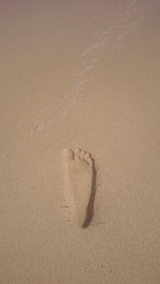 25 hình ảnh khiến bạn không tin vào mắt mình ảnh 12