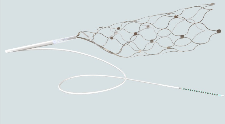 Dãy điện cực nội mạch Stentrode™. Ảnh Synchron Dãy điện cực nội mạch Stentrode™. Ảnh Synchron