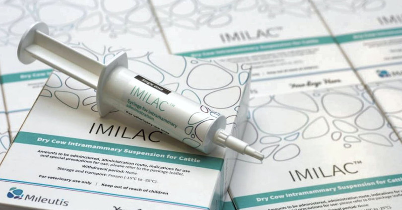 Imilac là một sản phẩm được cấp bằng sáng chế, có nguồn gốc từ sữa bò, giúp tăng cường hệ thống miễn dịch của động vật. Ảnh NoCamels