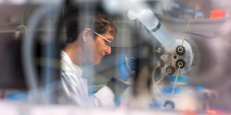 Các nhà nghiên cứu tại Miletius đang nghiên cứu các giải pháp thay thế kháng sinh không chỉ cho bò mà còn cho các vật nuôi khác và thậm chí cả con người. Ảnh NoCamels