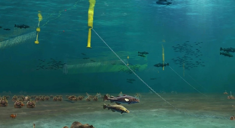 Trang trại điện gió có thể sử dụng các tuabin điện gió nổi. Ảnh minh họa Electrek