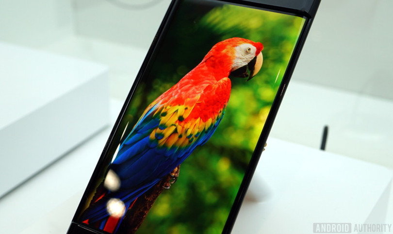 Bước nhảy vọt trên màn hình hiển thị: Chấm lượng tử ảnh 3