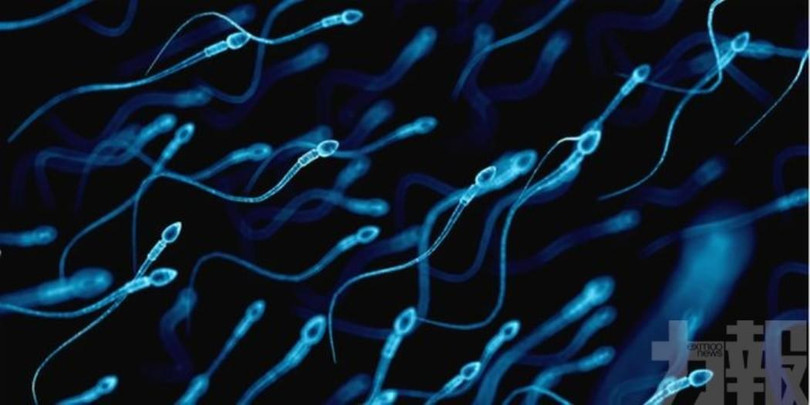 Người bị COVID-19 càng nặng thì tỷ lệ tinh trùng trong tinh dịch càng thấp (Ảnh: exmoo)