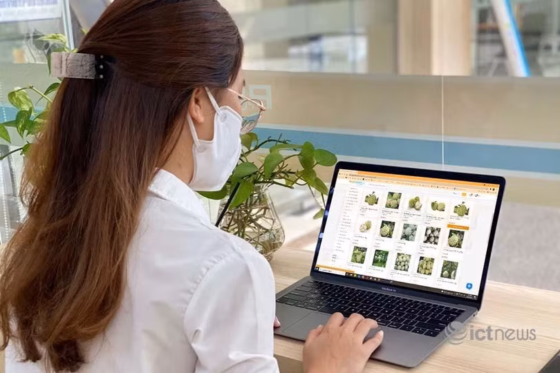 Kinh tế số là 1 trong 4 trụ cột chính của chuyển đổi số tỉnh Lạng Sơn đến năm 2025, định hướng đến năm 2030.