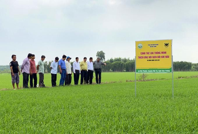 Canh tác lúa thông minh, tiền đề cho chuyển đổi số nông nghiệp ảnh 2