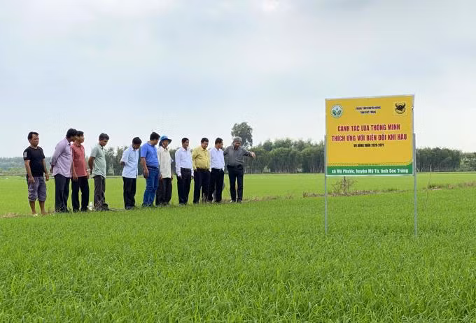 Canh tác lúa thông minh, tiền đề cho chuyển đổi số nông nghiệp ảnh 2