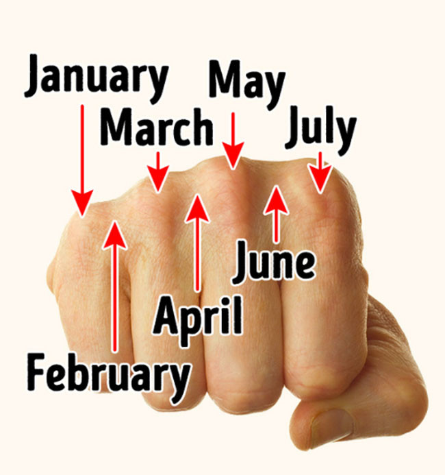 20 sự thật thú vị trong cuộc sống mà không phải ai cũng biết ảnh 2