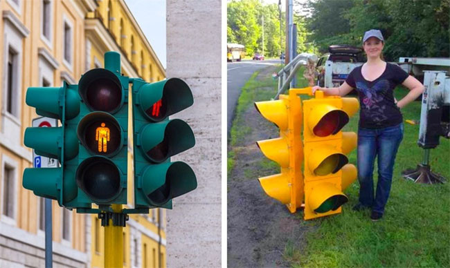 20 sự thật thú vị trong cuộc sống mà không phải ai cũng biết ảnh 5