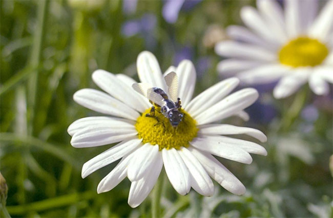 Với 10 tiện ích này, bạn sẽ như đang sống trong năm 3018 ảnh 5