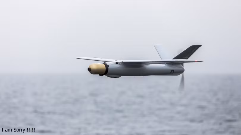 UAV tự sát “Warmate” của Ba Lan cung cấp cho Ukraine (Ảnh: Sina).