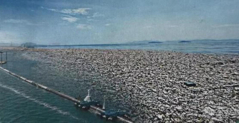 Một trong ba bức ảnh được ông Trump đăng tải được xác định là ảnh đã qua chỉnh sửa. Ảnh: NetEase.