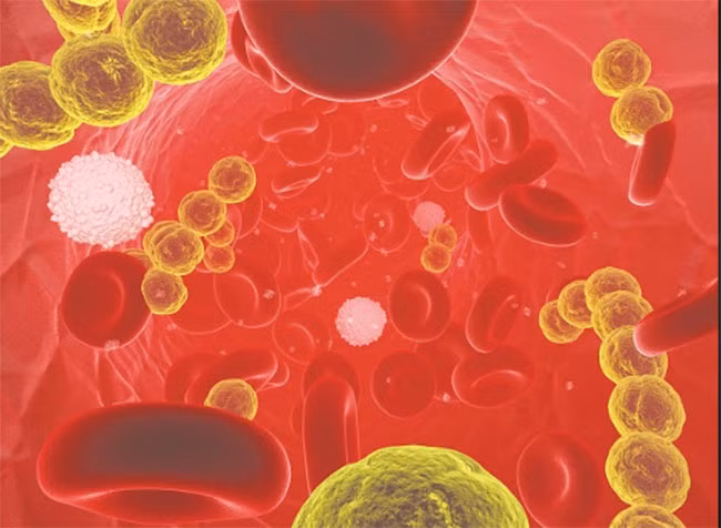 Ảnh minh họa (Futurism)