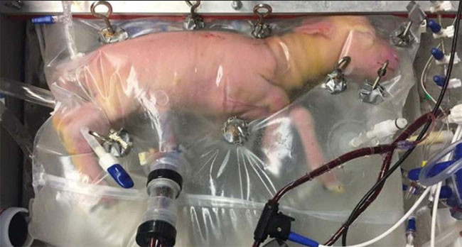 7 đột phá mới nhất năm 2017 sẽ làm thay đổi tương lai nhân loại ảnh 1