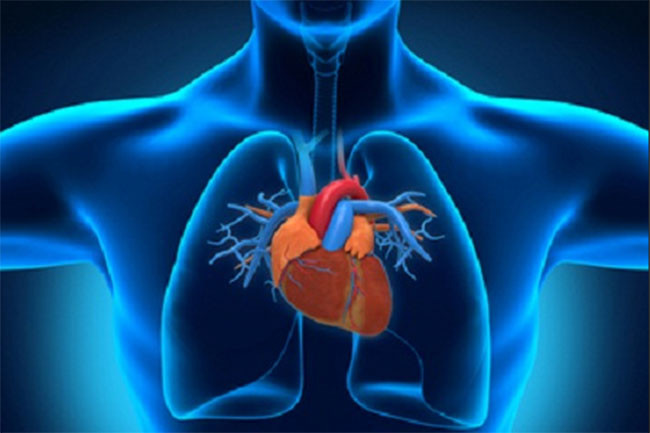 7 đột phá mới nhất năm 2017 sẽ làm thay đổi tương lai nhân loại ảnh 3