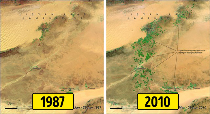 Chùm ảnh chứng minh thế giới đã thay đổi chóng mặt trong 50 năm qua ảnh 4