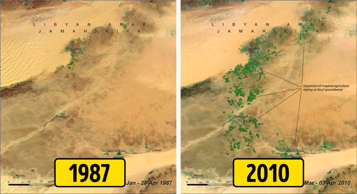 Chùm ảnh chứng minh thế giới đã thay đổi chóng mặt trong 50 năm qua ảnh 4