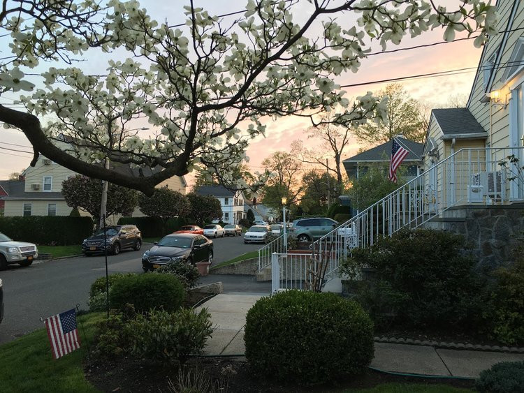 11 lý do bạn nên mua iPhone 6S/6S Plus thay vì iPhone 8 hay iPhone X ảnh 7