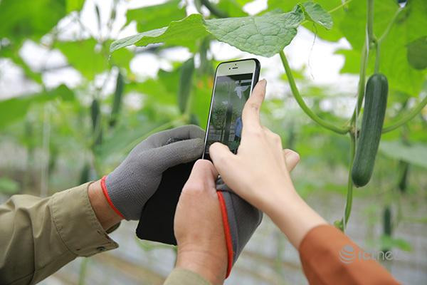 Giúp nông dân chuyển đổi số ảnh 1