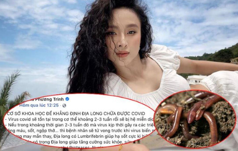 Angela Phương Trinh đã bị chỉ trích dữ dội khi đăng tải thông tin chữa Covid-19 bằng địa long. (Ảnh: suckhoedoisong)