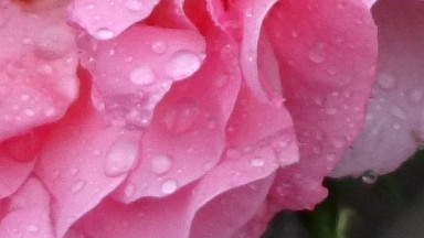 Độ chi tiết ảnh chụp của Sony Xperia X nhìn chung tốt, ảnh nét căng, song càng xa tâm ảnh, độ chi tiết càng giảm.