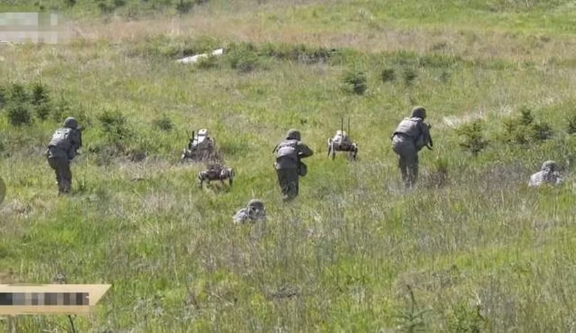 Doi hinh xung phong.png