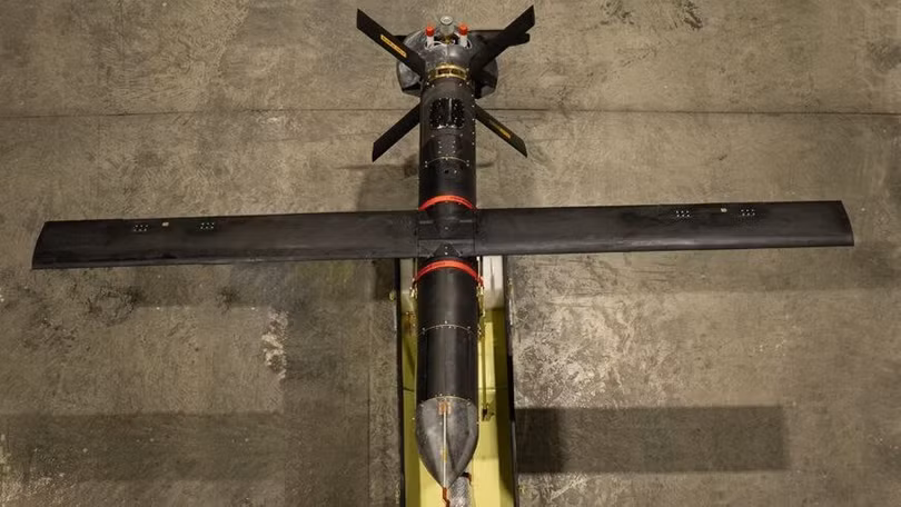 UAV tấn công tự sát tầm xa Shahet-107 mới được Iran đưa vào trang bị. Ảnh: NetEase.