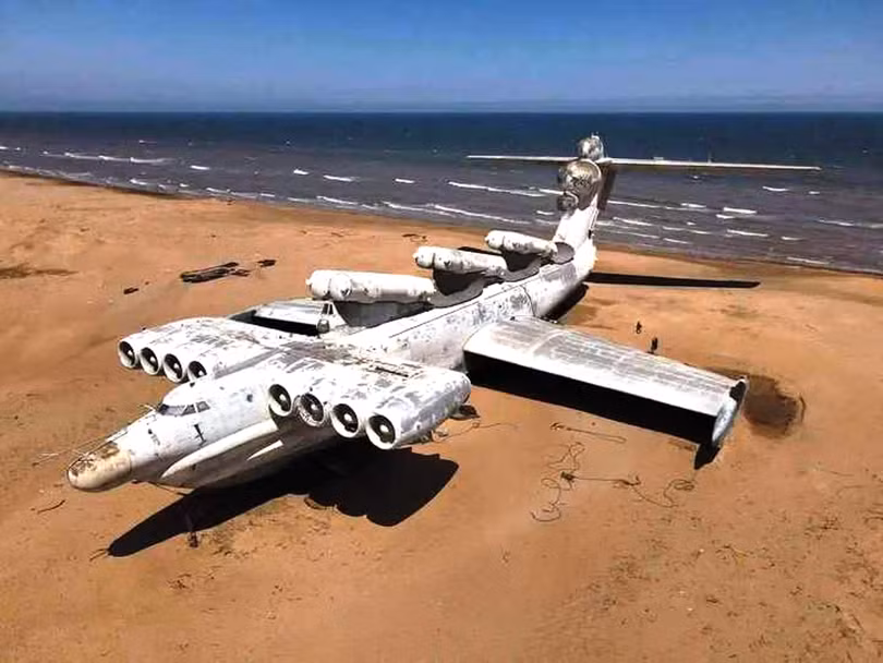 Quai vat voi 6 ten lua.png