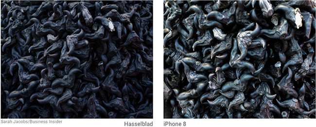 So sánh đẳng cấp chụp hình giữa máy ảnh 9000 USD và iPhone 8 Plus ảnh 5