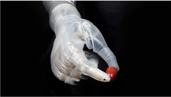 Trong tương lai, con người sẽ trở thành sinh vật “nửa người nửa máy“? ảnh 2