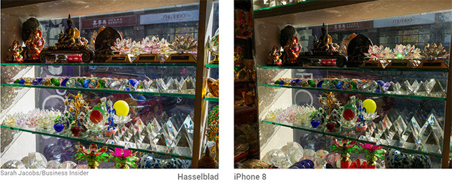 So sánh đẳng cấp chụp hình giữa máy ảnh 9000 USD và iPhone 8 Plus ảnh 8