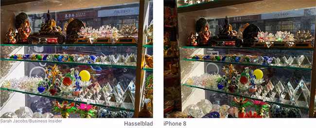 So sánh đẳng cấp chụp hình giữa máy ảnh 9000 USD và iPhone 8 Plus ảnh 8