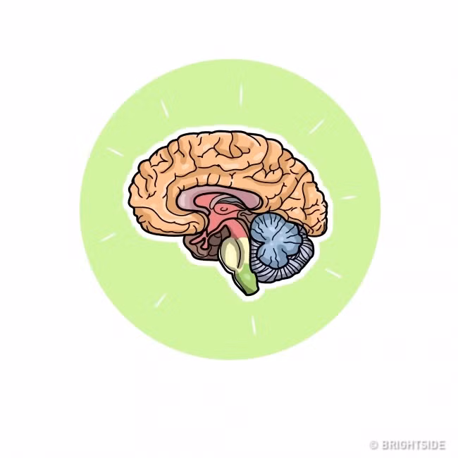 Đến năm 2099, thế giới của chúng ta sẽ thay đổi như thế nào? ảnh 5