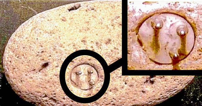 Top 8 khám phá khảo cổ khiến cả thế giới sửng sốt ảnh 7