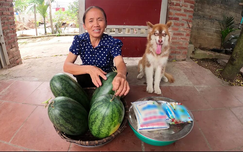 Trong 30 ngày gần đây nhất, kênh YouTube của Bà Tân chỉ "đút túi" khoảng 10 triệu lượt xem, theo ghi nhận của Social Blade. (Ảnh: Bà Tân Vlog)