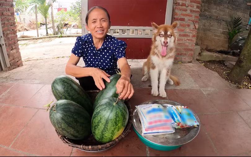 Trong 30 ngày gần đây nhất, kênh YouTube của Bà Tân chỉ "đút túi" khoảng 10 triệu lượt xem, theo ghi nhận của Social Blade. (Ảnh: Bà Tân Vlog)