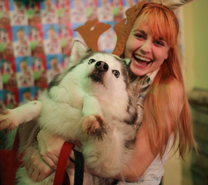 15 hình ảnh chứng minh không phải thú cưng nào cũng hào hứng với Giáng sinh ảnh 6