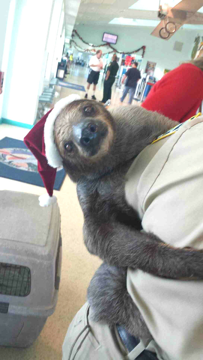 16 hình ảnh hài hước chỉ có thể xảy ra ở sân bay ảnh 9