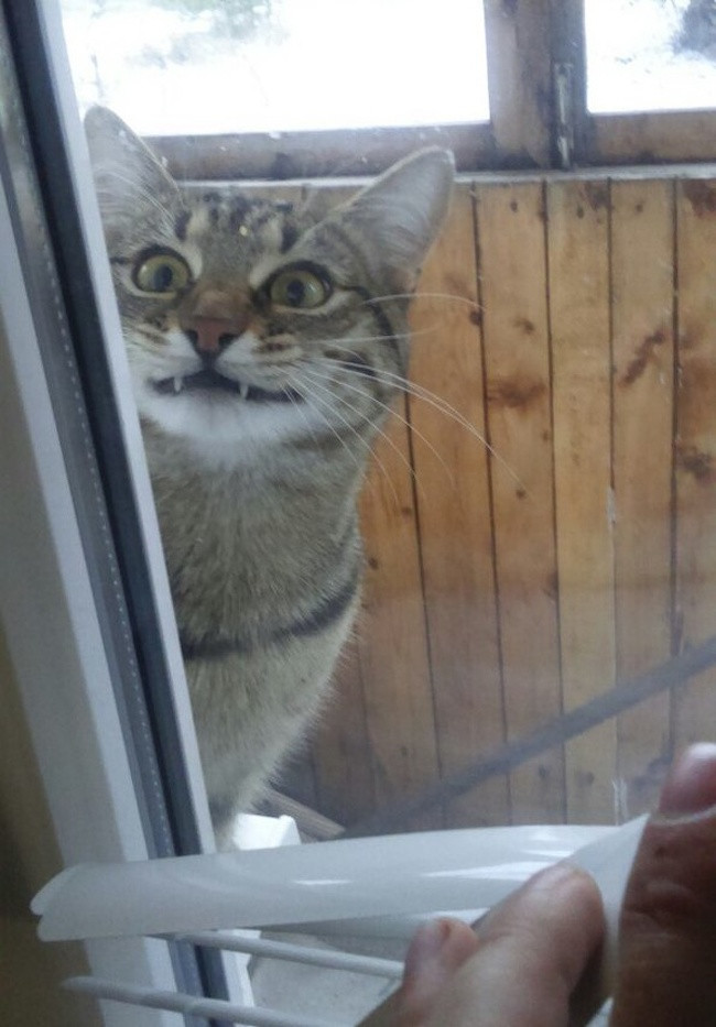 15 bức ảnh chứng minh mùa đông là một thách thức cực lớn ảnh 3 15 bức ảnh chứng minh mùa đông là một thách thức cực lớn ảnh 3