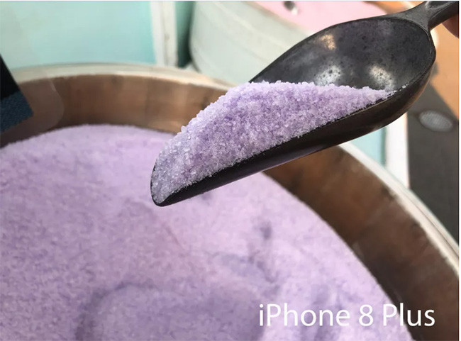 So tài iPhone 8 Plus và Google Pixel 2: Máy ảnh nào đẳng cấp hơn? ảnh 11