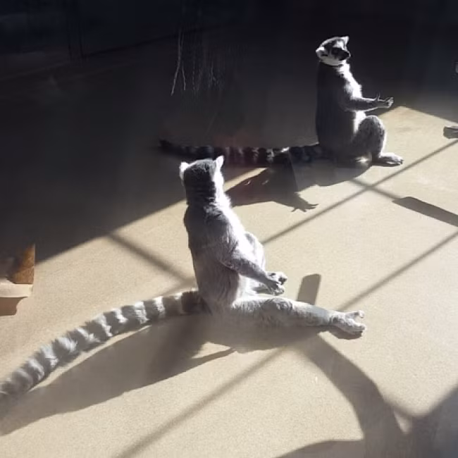 Khi cuối cùng thời tiết lại nắng sau thời gian dài lạnh buốt