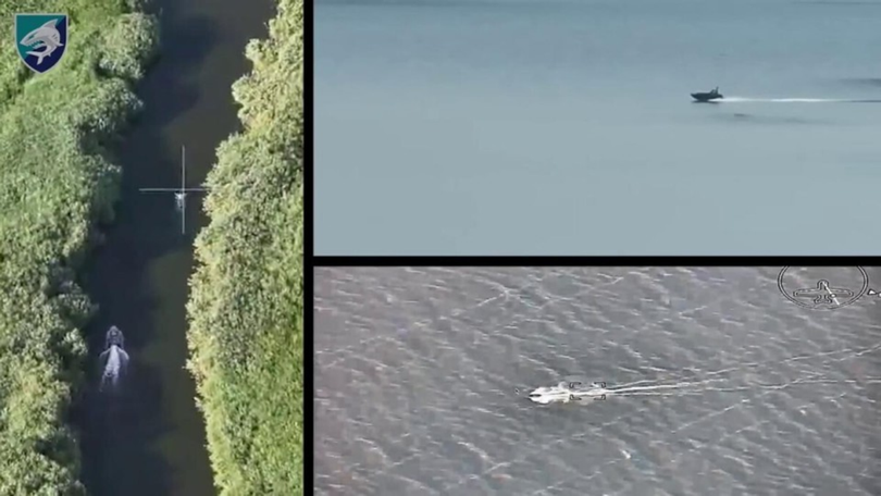 Co dong linh hoat.png