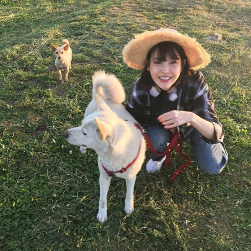 "Em gái quốc dân" IU: nghệ sĩ có tầm ảnh hưởng nhất Hàn Quốc ảnh 3