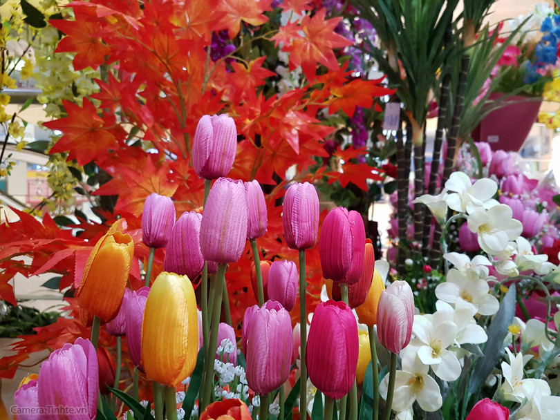 Review Camera của Samsung Galaxy S7 / S7edge ảnh 19